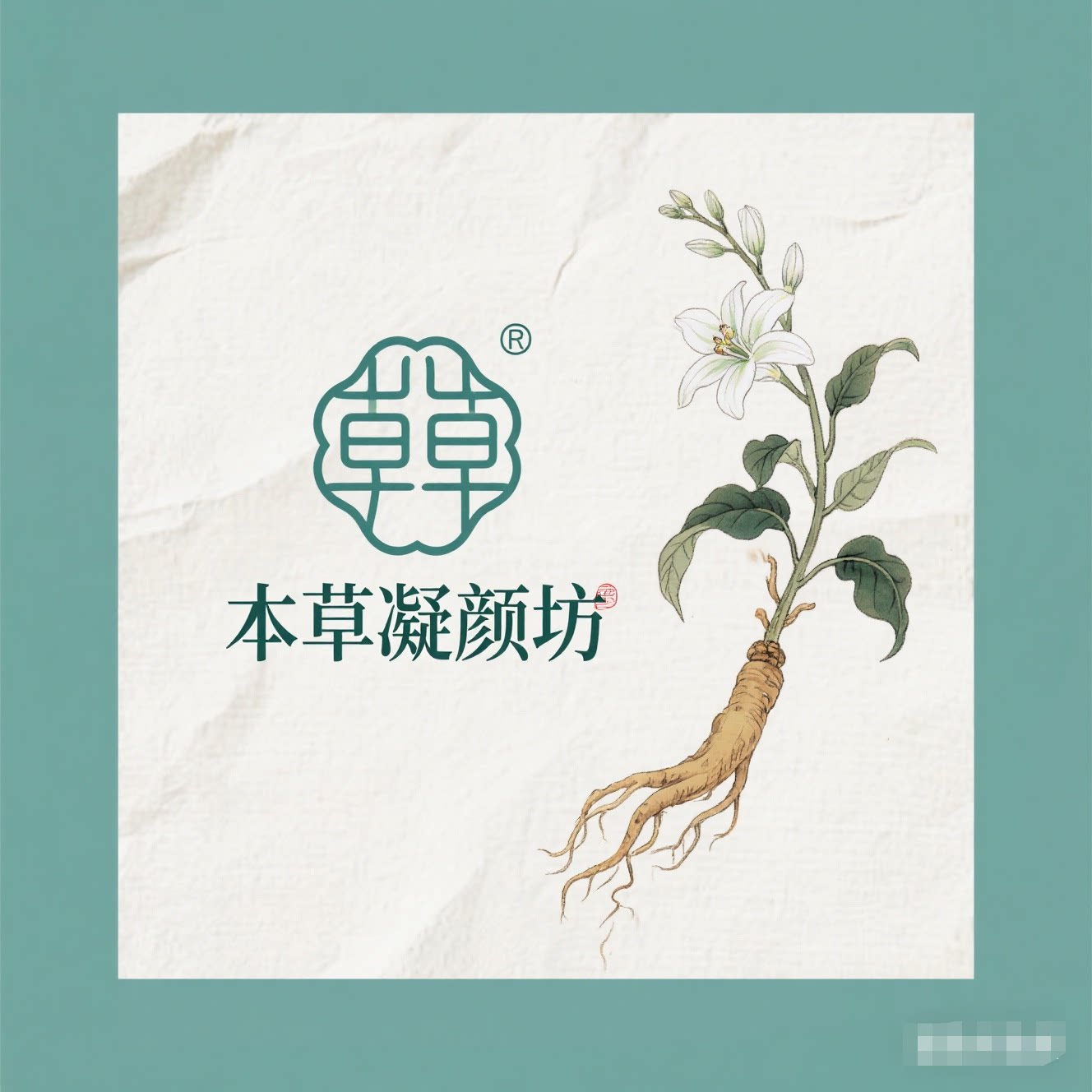 本草凝颜坊
