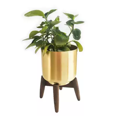 Mossgarden 北欧风创意低奢金色花盆黄铜色家居装饰品木架花器