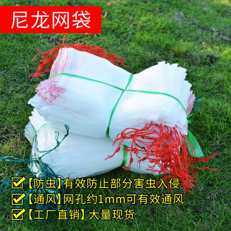 Fruit and Vegetable Insect-Proof and Bird-Proof Net Bags, Nylon Rice and Wheat Seed Soaking Bags, Seed Bags, Mesh Bags