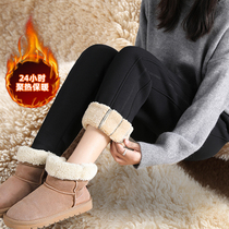 Plus velvet sweatpants womens thickened autumn and winter wear lamb velvet pants loose toe cotton pants to keep warm Harlan pants