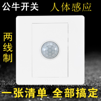 Bull switch socket human body infrared sensor switch automatic control induction delay switch 220V panel