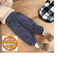 Темно -серый [плюс бархат]