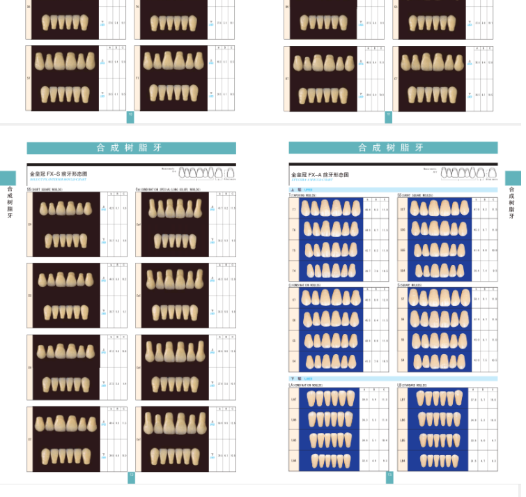 Медицинский санитарный материал 山八齿材 彩色自凝材料 可延长操作时间 正畸矫治器保持器制作 Eight tooth material