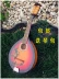 Nhạc cụ Mandolin Nhạc cụ Mandolin Treble Octeophone Nhạc cụ phương Tây Mandelin Qin Hộp điện Mandelin kèn Nhạc cụ phương Tây