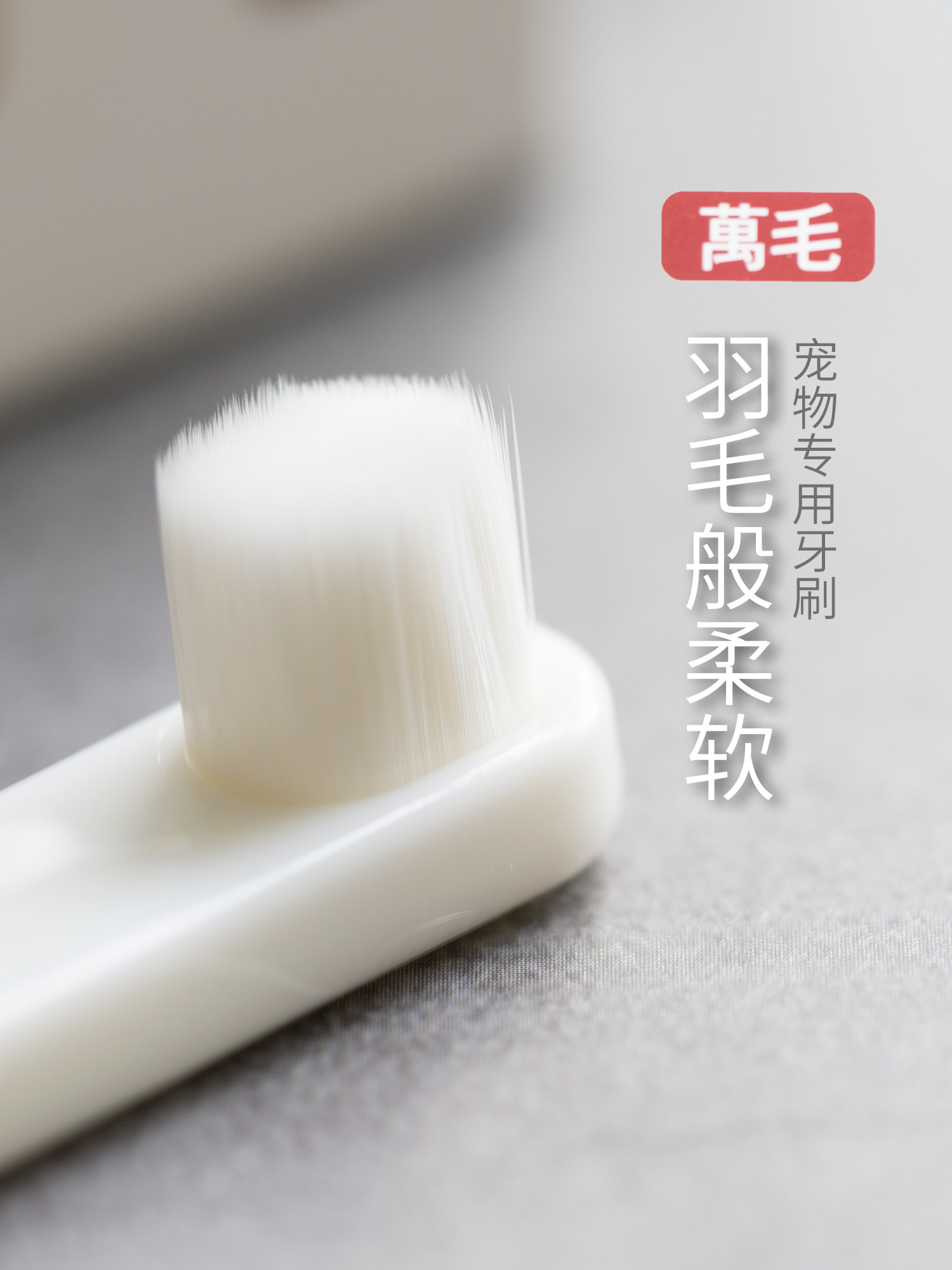 Japan Kojima Dog Toothbrush Pet brushing with 10,000 hairs Soft bristle brush Suitable for small dogs Medium dogs Large puppies