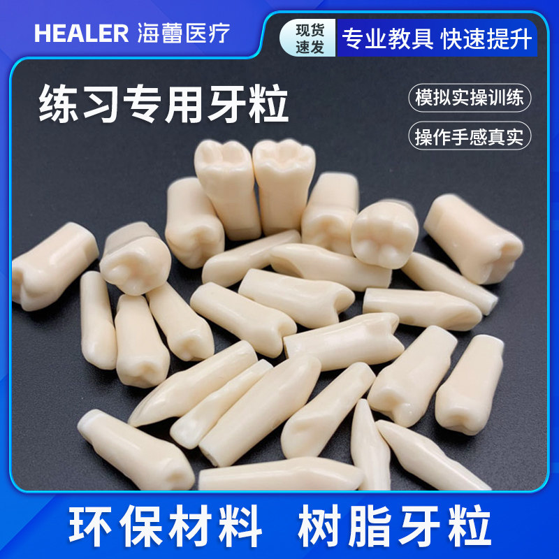考试练习牙粒牙齿模型备牙练习口腔耗材可拆卸树脂牙牙科优质硅胶