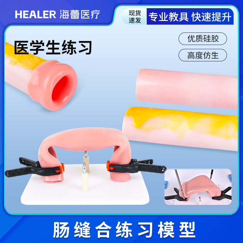 医用练习教具肠缝合模型支架夹子 医学生腹腔镜手术训练