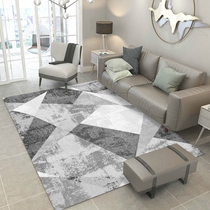 Nordic living room carpet sofa coffee table cushion simple modern bedroom bedside floor mat full of lovely room home