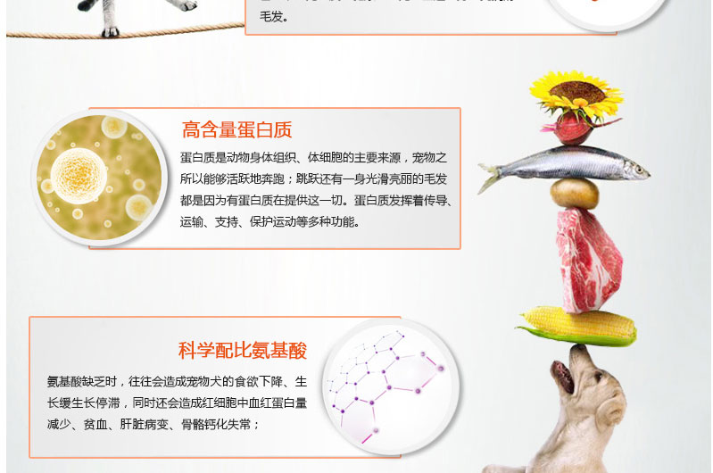 American RedDog Red Dog Kem dưỡng dinh dưỡng Chó con mang thai Chó mèo Sản phẩm chăm sóc sức khỏe Dog Cat Cat Kem dinh dưỡng 120g - Cat / Dog Health bổ sung sữa cho chó 4 tháng tuổi