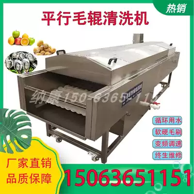Oyster cleaning machine Sea cucumber scallop oyster cleaning mud removal machine Orange sugar Orange hair roller cleaning waxing machine