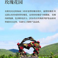 海南三亚玫瑰谷购物中心的LOGO