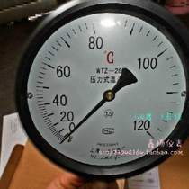 Tianchuan Instrument pressure thermometer WTZWT280 10 degrees 5M10M line length