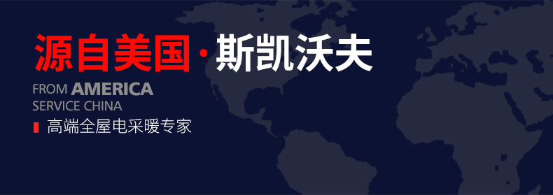 美国 斯凯沃夫 居浴两用恒温取暖器 2200W 图1