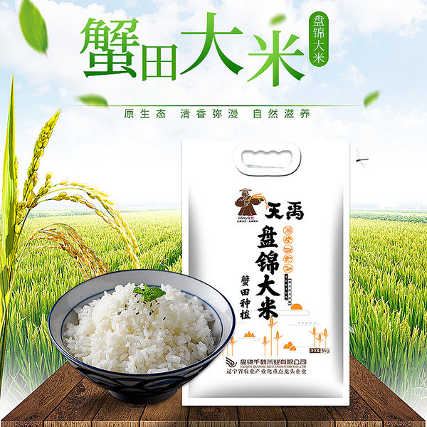天禹 盘锦蟹田大米 10斤 聚划算双重优惠折后￥34.82包邮