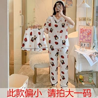 WD8013 (короткие шорты+брюки)