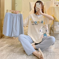 Tfn6613 (короткие шорты+брюки)