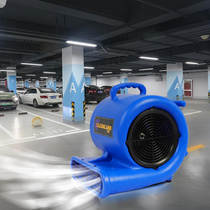 Clean Lang X800 blowing dryer commercial high power floor floor carpet dryer hotels mall fan