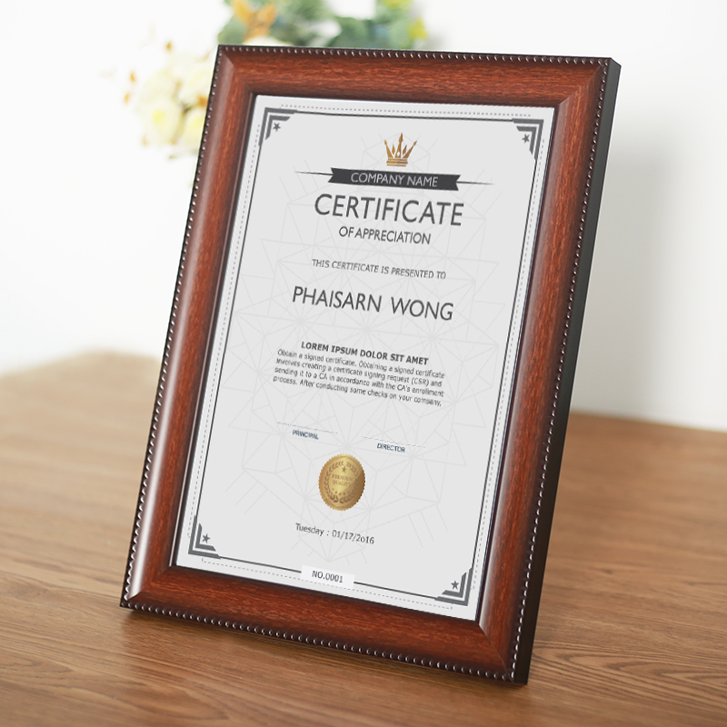 Certificate of Honor Photo Frame A3 A4 A5 B4 B5 Paper Authorization Letter Storage Wall Hanging Qualification Certificate Display Framing