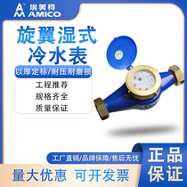 Amico LXS-E rotor wet type 099Q iron shell copper joint household 4-point total meter anti-drip cold water meter