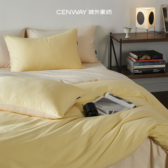 100S Thickened Premium Brushed Cotton Four-Piece Bedding Set, Pure Cotton, 2025 New Model, Bed Sheet and Duvet Cover Set