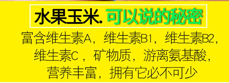 如花似月 云南新鲜水果玉米 10斤 图9