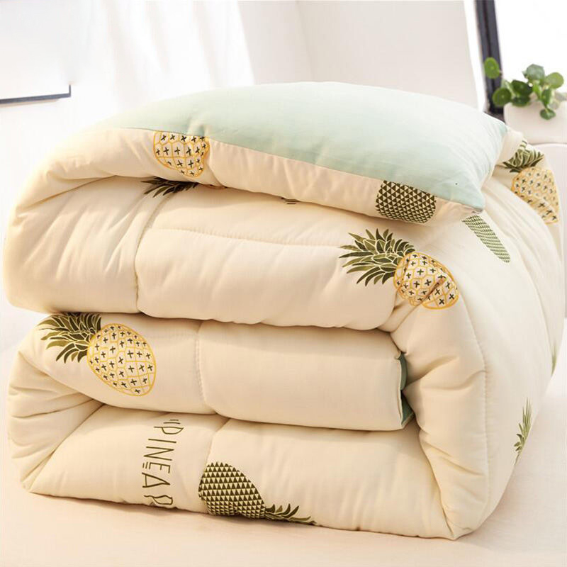 Winter quilt thickened winter quilt warm quilt spring and autumn student quilt core dormitory single single double air-conditioning quilt four seasons