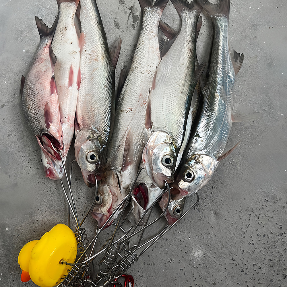 活鱼扣路亚鱼扣锁鱼扣大物轮子栓鱼器小黄鸭控鱼锁:🎣钓鱼神器,让大鱼乖乖听话! -伸缩扣-淘宝好物网