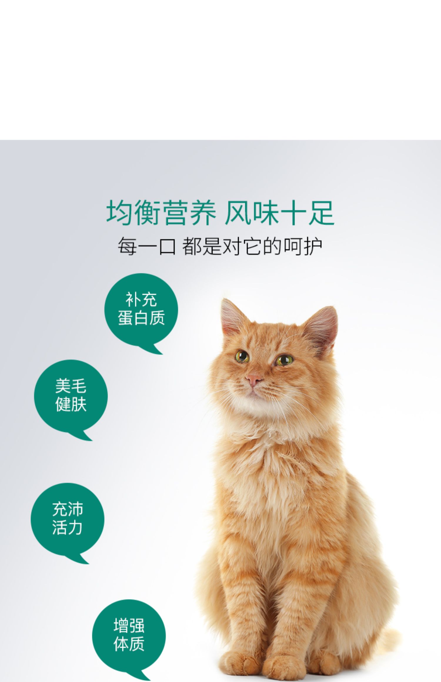 Hương vị mong muốn New Zealand thực phẩm tự nhiên nhập khẩu WDJ khuyến nghị dinh dưỡng phổ quát toàn thức ăn cho mèo 1,8kg - Cat Staples đồ ăn cho mèo con