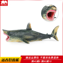Simulation sea life Prehistoric Megalodon model animal Great White Shark Toy Hammerhead Shark Hammerhead Shark Childrens gift