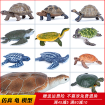 Simulation marine biology model tortoise toy tortoise Brazil turtle turtle turtle turtle leatherback turtle children Science Education gift