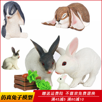 Simulation rabbit toy animal model White Rabbit White Rabbit solid plastic children male cognitive micro landscape gift