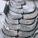 Yunnan Natural Bull Horn Horn Blackwater Blackwater Bull Horn Medicine Medicine Wine Fail