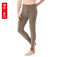 8062 МУЖЧИНА Тонкий верблюдный цвет