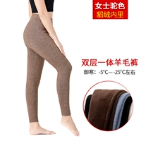 Женский верблюд густой капитал [один -в одну дольверс]