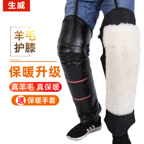 Motorcycle kneecap genuine leather armguard electric car winter equipment riding anti-chill wool warm and thickened for men and women