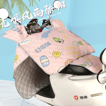 Electric car sunscreen Summer shading wind shield by small battery motorcycle Rain-proof waterproof spring autumn Seasons thin section