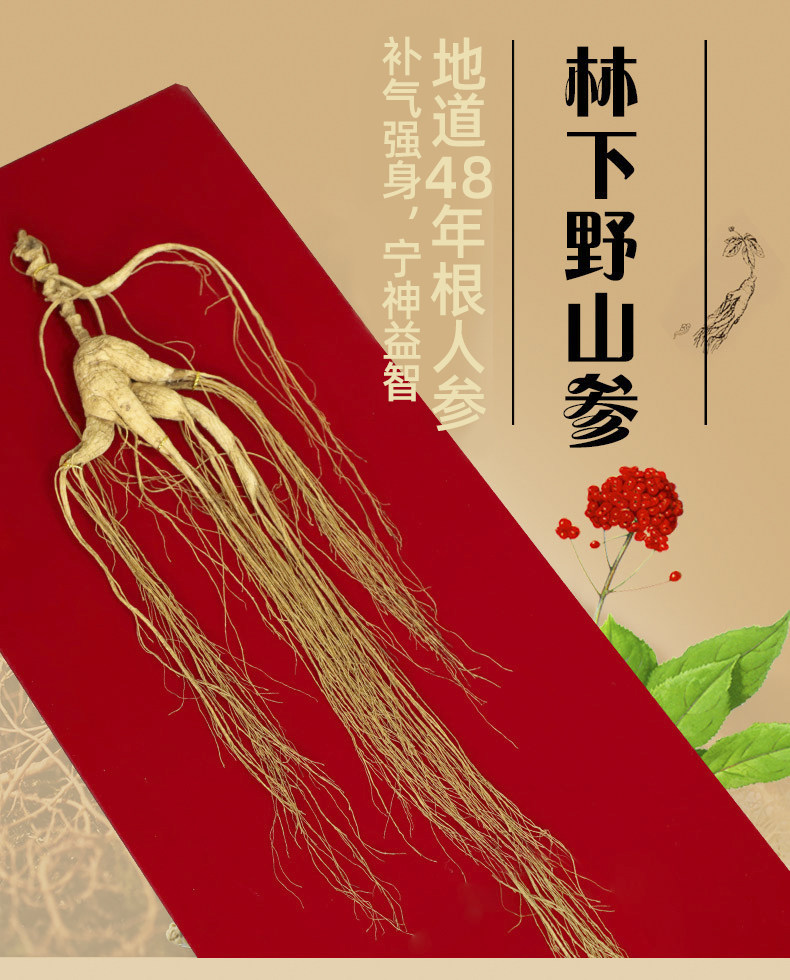 48 Years old White Mountain ginseng Wild Mountain Ginseng National inspection certificate First class gift box Forest Ginseng bubble wine Ren San wild dried goods