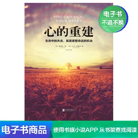 The Reconstruction of the Heart: The Loss in Life is the Opportunity to Redress Destiny EBook