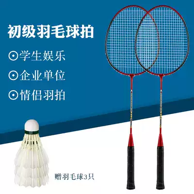 Badminton racket double racket resistant children primary school students home amateur beginner training racket children's offensive fitness