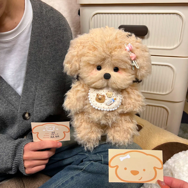 Handmade DIY Material Kit Creative Plush Fluffy Curly-Haired Dog Recording Doll Birthday Gift for Girls