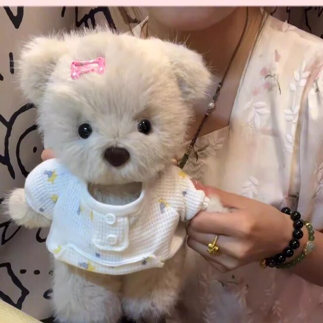 Recordable Cute Bear Doll Material Kit, Handmade DIY Jointed Plush Doll, Gift for Girlfriend