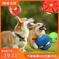 Волшебная игрушка, эластичный легкий трансформер, домашний питомец, кошки и собаки