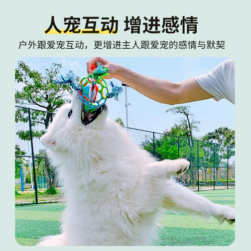 Игрушка для собак много -функциональный интерактивный куджу мяч собаки счистки зубные собаки