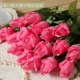 Nó rất giống nó! Caroline cảm thấy hoa hồng ẩm mô phỏng bó hoa trang trí phòng khách trang trí đặt khô giả hoa - Trang trí nội thất
