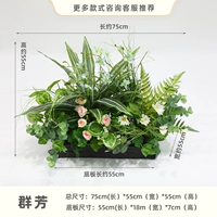 Кунфанг [Рейтинг зеленого растения]