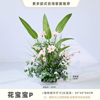 Flower Baby P (вставлен и отправлен)