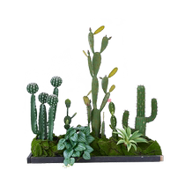 Simulated cactus live broadcast room decoration ornaments large plant cactus potted indoor window landscaping fake green plants