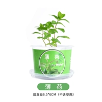 Светло-серый маленький горшок