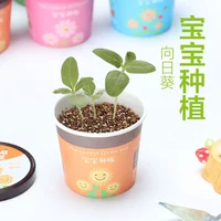 Подсолнечник