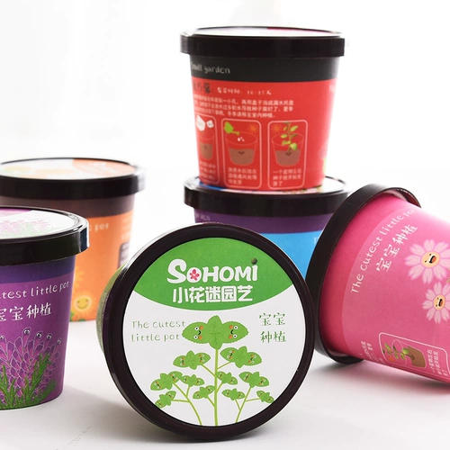 Творческий мини -горшечный офис Небольшой растение посадка на рабочем столе детской детский ролик